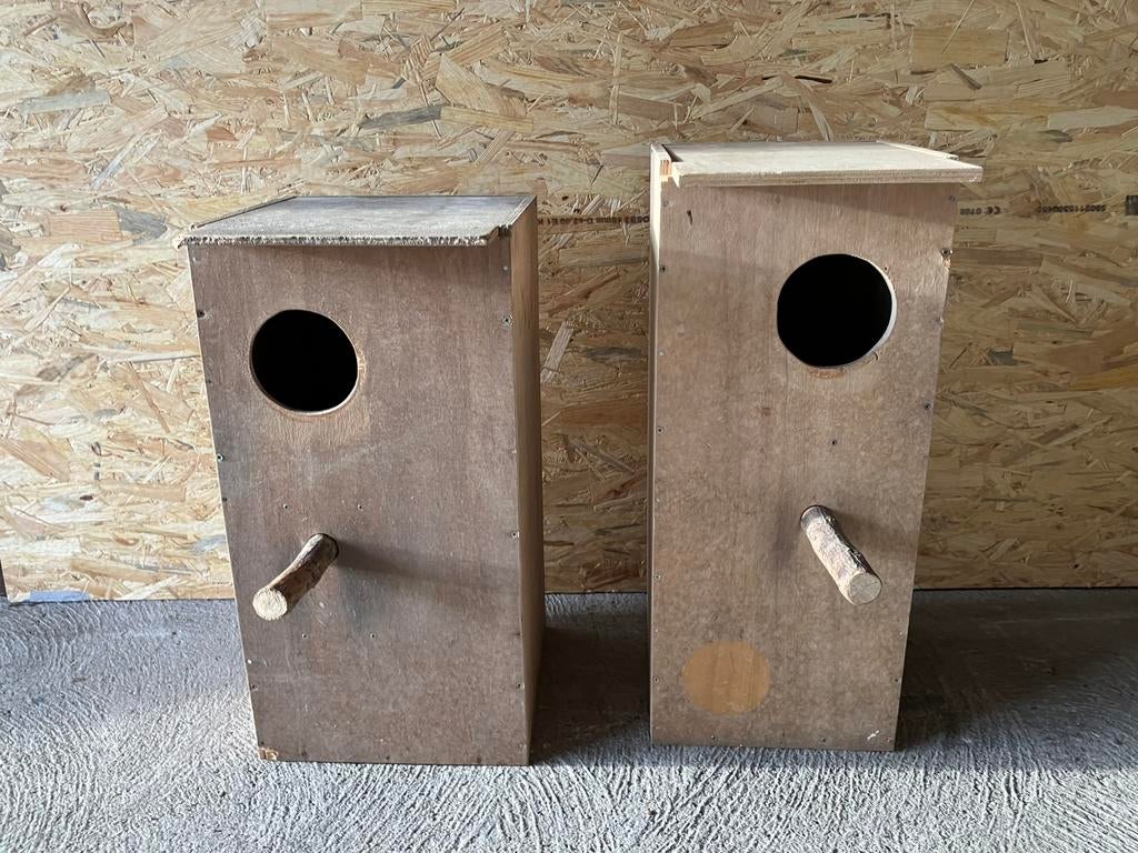 Nestblok grote parkieten, Meerdere dieren, Parkiet