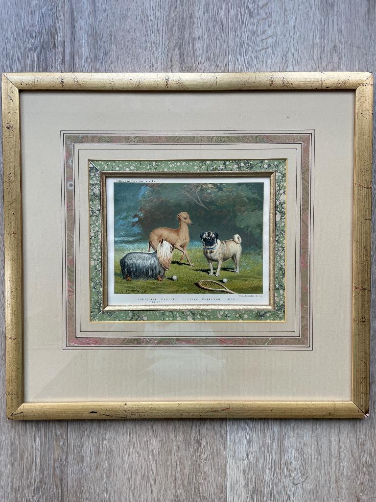 Antieke prent van honden, Antiek en Kunst, Ophalen of Verzenden