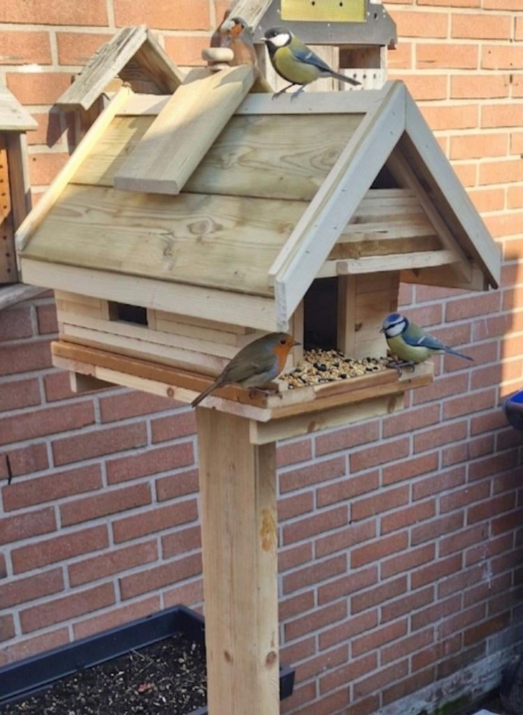 Leuke vogel villa met voederhuis, Ophalen, Nieuw