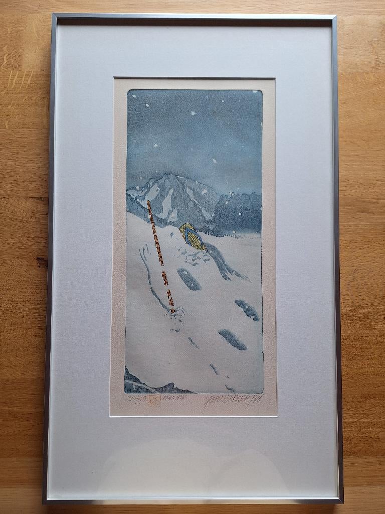 Kleurets Sjoerd Bakker, De dood van een dichter, Antiek en Kunst, Kunst | Etsen en Gravures, Ophalen, Landschap, Ets, Met tekst