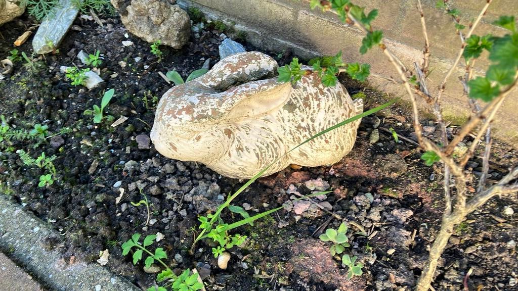 Twee betonnen konijnen beelden, Tuin en Terras, Ophalen, Gebruikt, Dierenbeeld