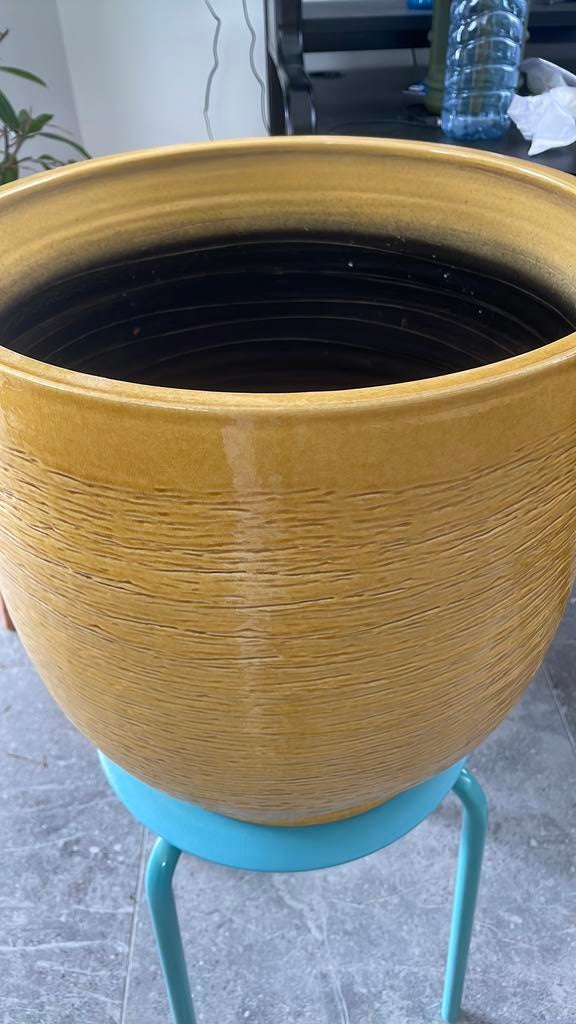 Binnen geel bloempot, Ophalen, Gebruikt, 40 cm of meer, Rond