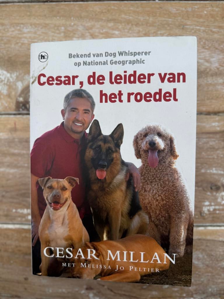 Cesar Millan - Cesar, de leider van het roedel (Hondenboek), Verzenden, Gelezen, Honden