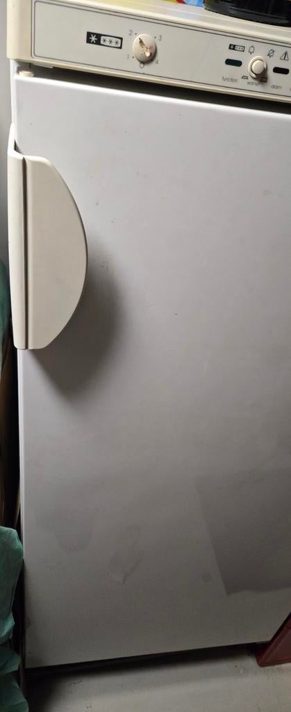 Diepvries Liebherr 6 laden, Ophalen, Gebruikt, 60 tot 90 cm, 160 cm of meer