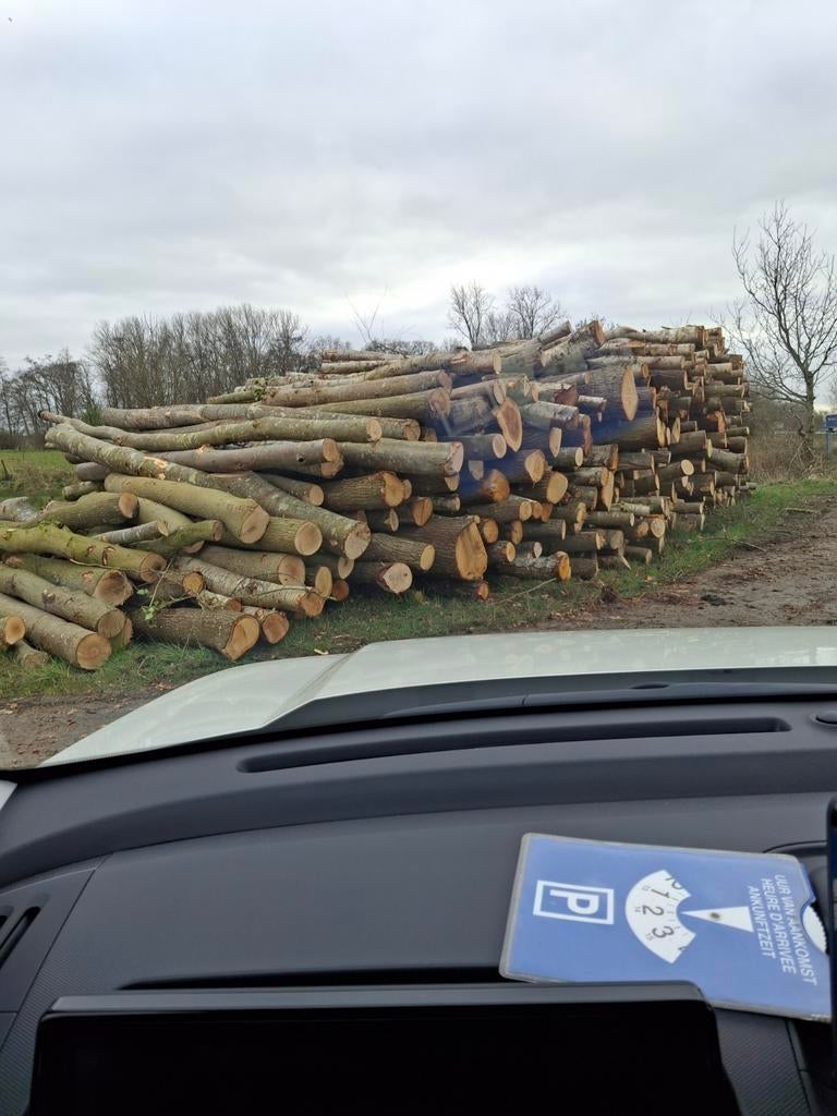 Stamhout haardhout  els, eik, berk en es, Tuin en Terras, Haardhout, 6 m³ of meer, Ophalen of Verzenden, Elzenhout, Stammen