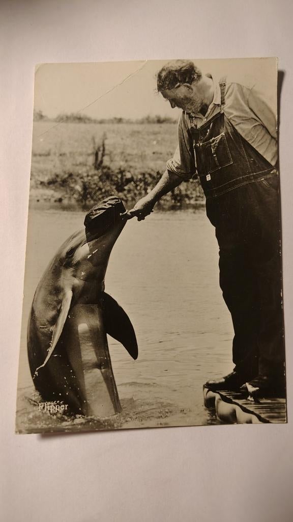 Bennekom Kampeer- en Bungalowbedrijf DE DIKKENBERG" Flipper, Ophalen of Verzenden, 1980 tot heden, Gelderland
