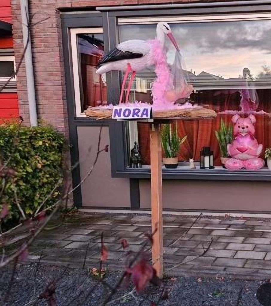 Geboorte ooievaar op paal voor jongen of meisje, Ophalen, Gebruikt, Geboortebord