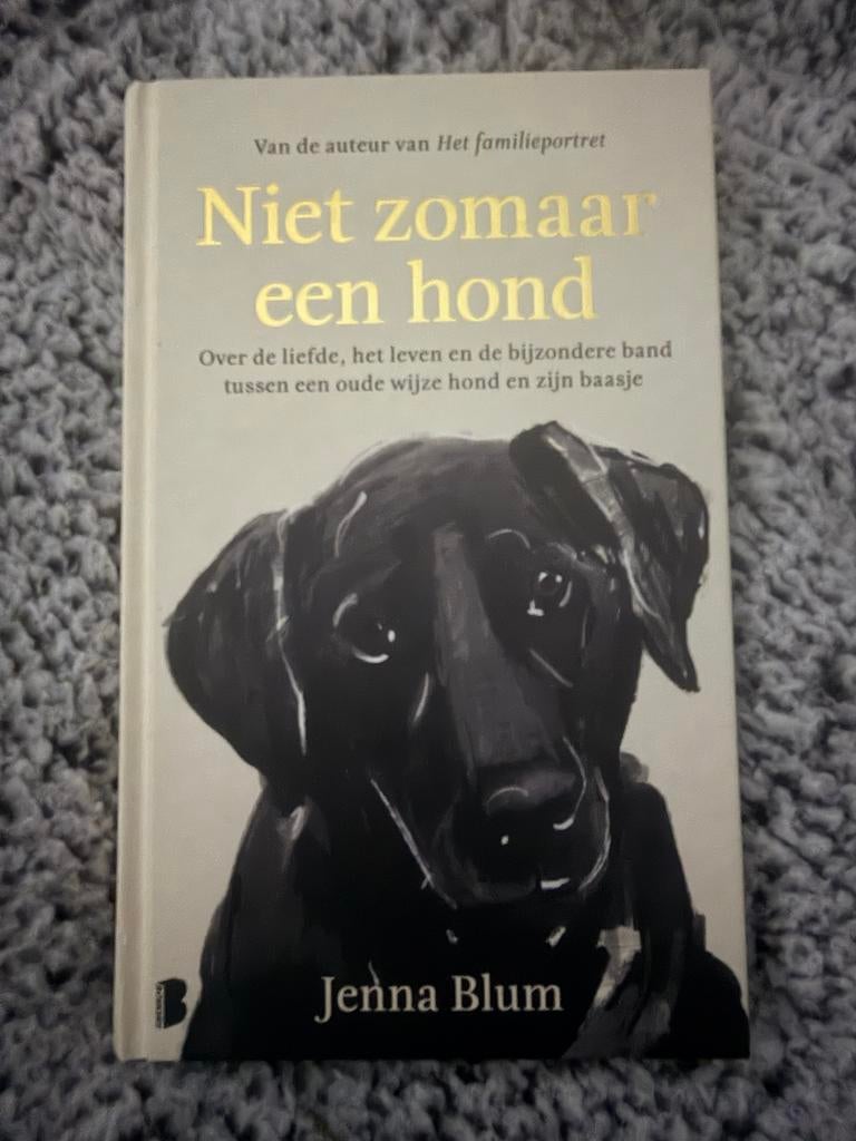 Niet zomaar een hond - Jenna Blum (Gloednieuw), Boeken, Ophalen of Verzenden, Nieuw, Honden