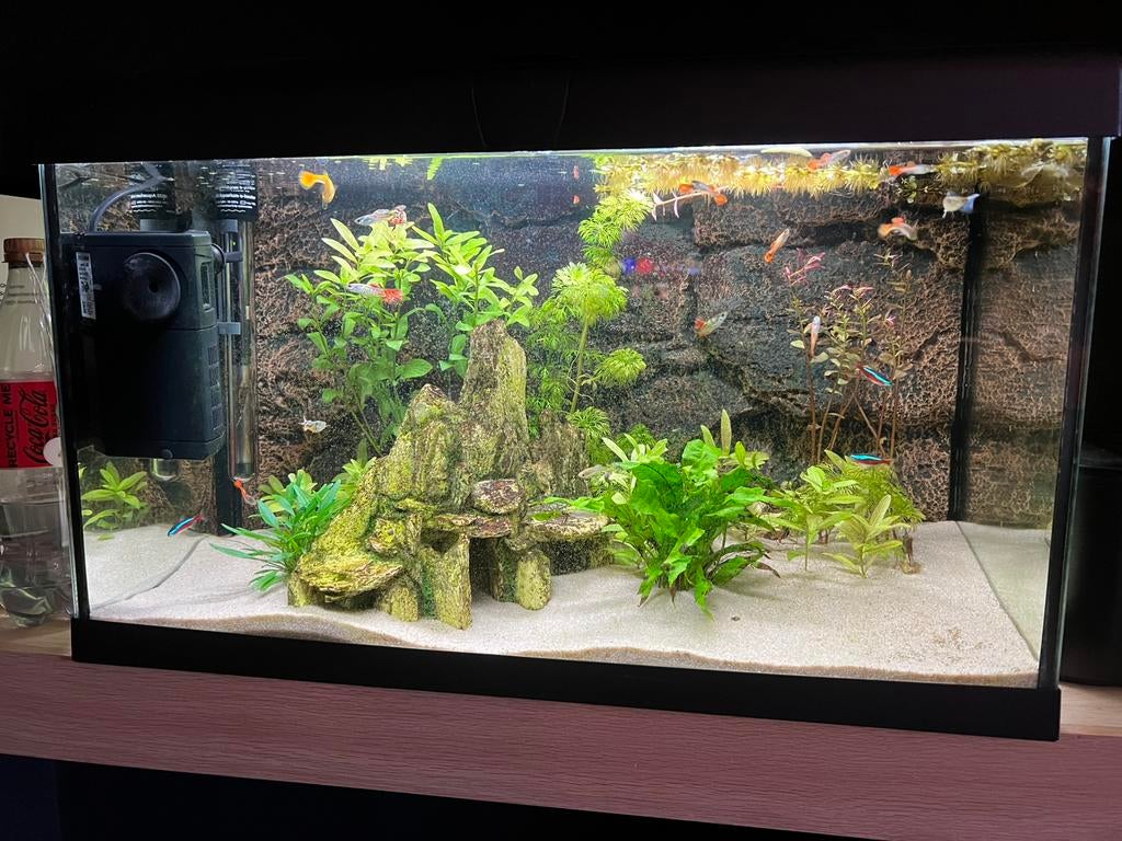 Te koop aquarium, Dieren en Toebehoren, Vissen | Aquaria en Toebehoren, Ophalen, Zo goed als nieuw, Leeg aquarium