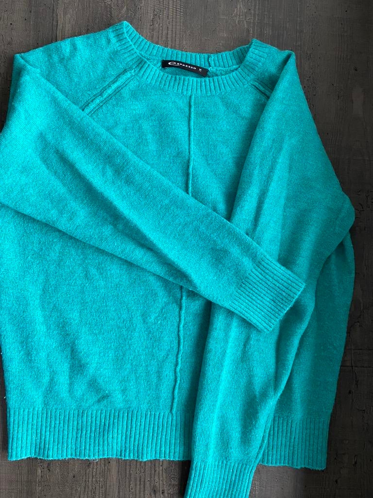 Dames turquoise trui Expresso maat M ZGAN, Kleding | Dames, Truien en Vesten, Ophalen of Verzenden, Zo goed als nieuw, Maat 38/40 (M)
