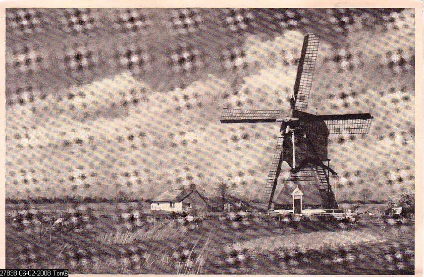 Ansichtkaart	Molen	met boerderij	Hei- en Boeicop	Hoekmolen, Verzenden, 1940 tot 1960, Ongelopen, Gebouw