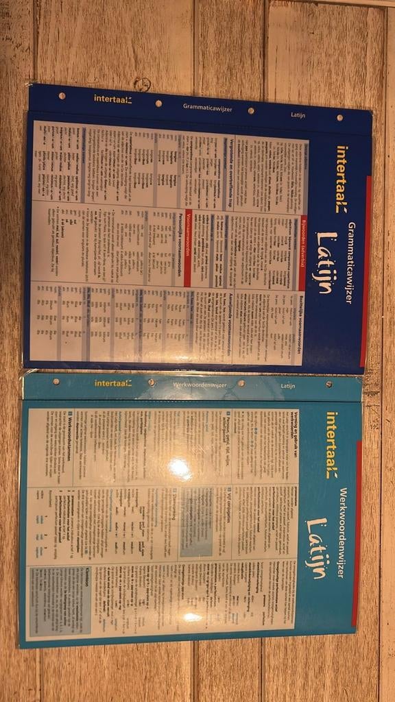 Intertaal Grammaticawijzer en Werkwoordenwijzer Latijn, Non-fictie, Nederlands, Latijn, Ophalen of Verzenden, Zo goed als nieuw