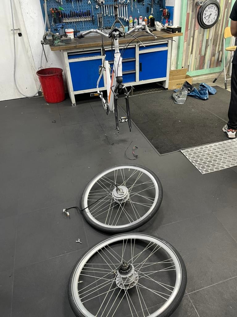 Sparta C2 C3 ION F8E F5E  baggagedrager, controller, display, Fietsen en Brommers, Ophalen of Verzenden, Zo goed als nieuw, Aanhangfiets