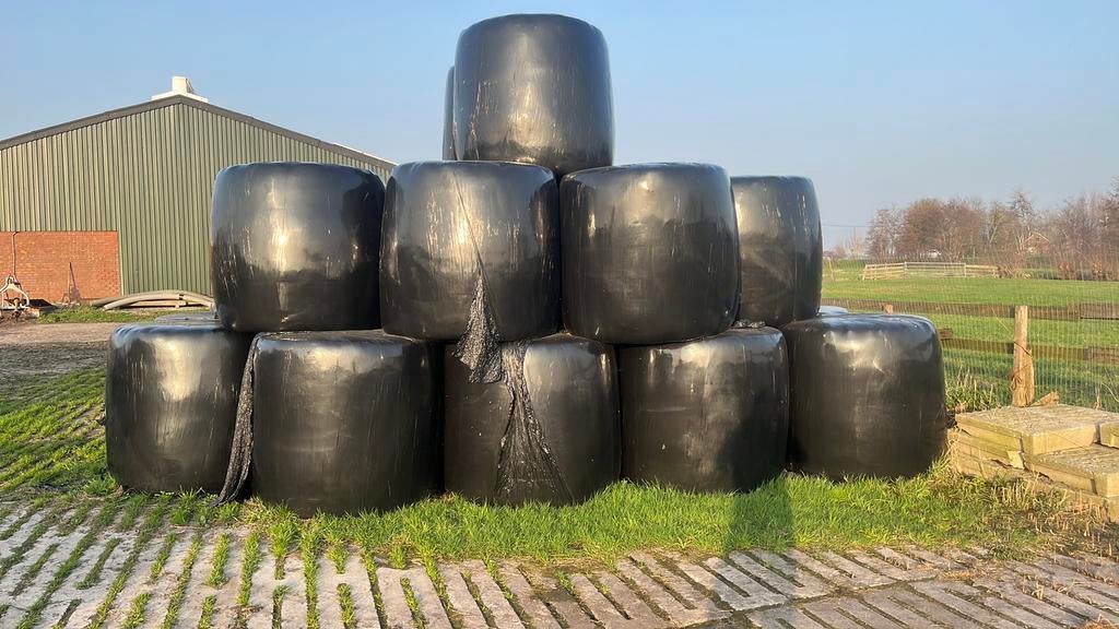 Grasbalen 3e snede natuurland, Dieren en Toebehoren, Dierenvoeding, Ophalen of Verzenden, Vee