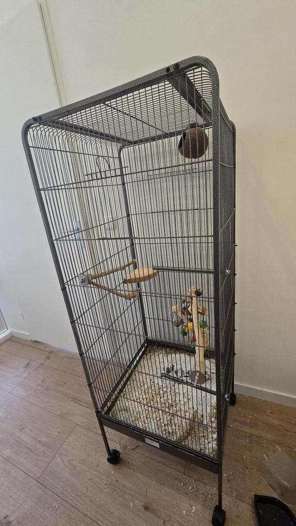 Voilere vogelkooi met accessoires, Ophalen, Zo goed als nieuw, Metaal, Volière