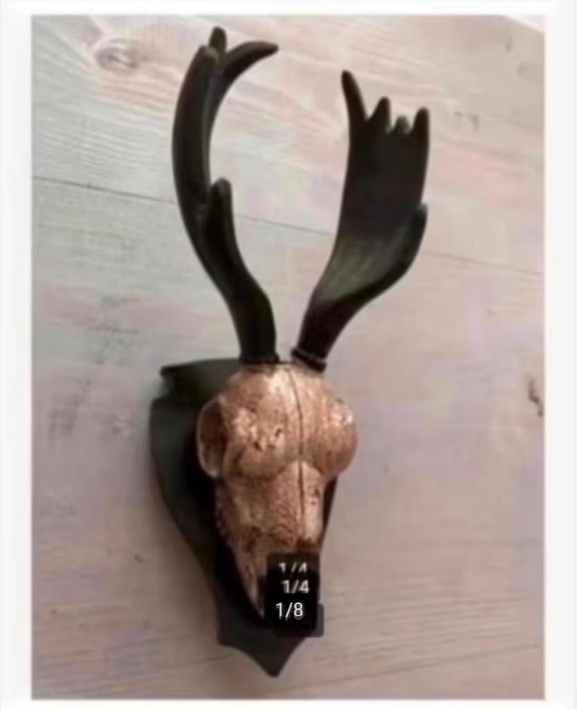 2 Polyresin schedel eland of bok buiten binnen op plaat, Ophalen of Verzenden