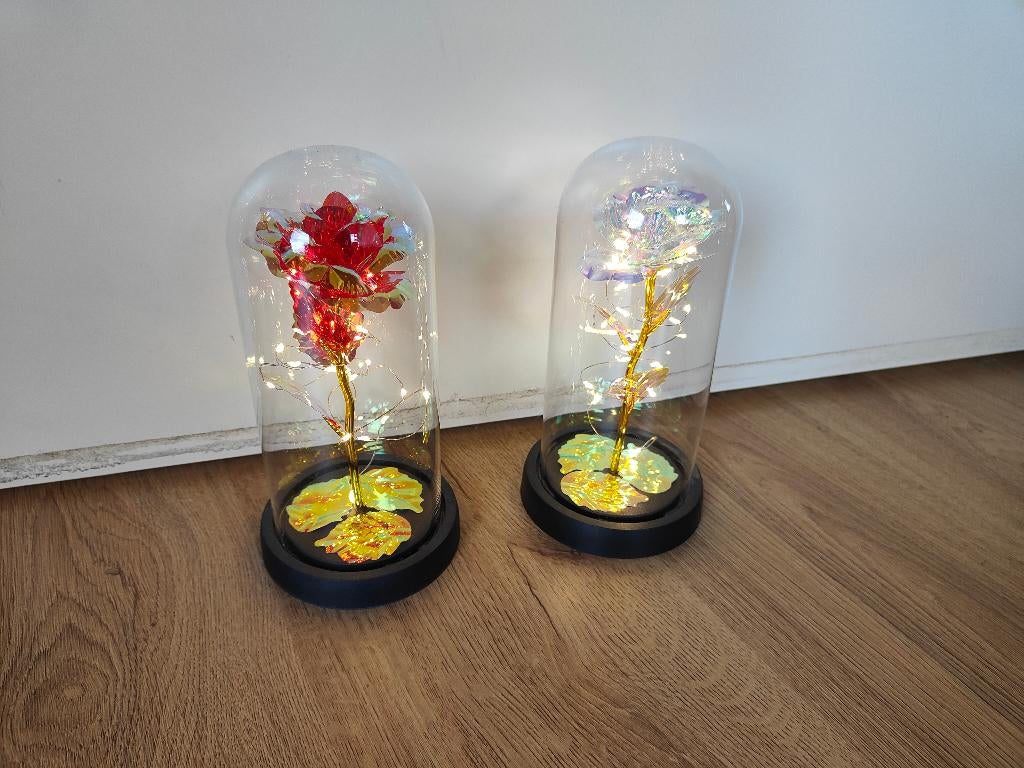 Roos met verlichting in stolp, Ophalen, Zo goed als nieuw