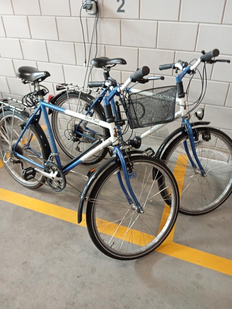 Raleigh fietsen/Vintage, Gebruikt, 10 tot 15 versnellingen, Overige maten, Ophalen