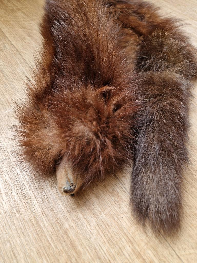 Nerts bont stola, Ophalen of Verzenden, Dames, Overige merken