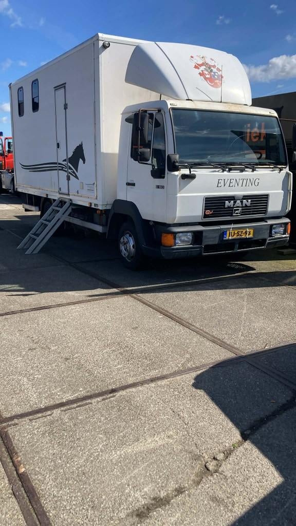 paardenvrachtwagen anemone man, MAN, Grijs, Particulier, Te koop