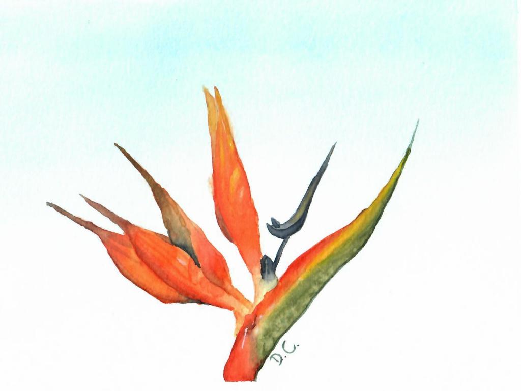 Groningen: Op zoek naar een appartement, studio of kamer, Huizen en Kamers