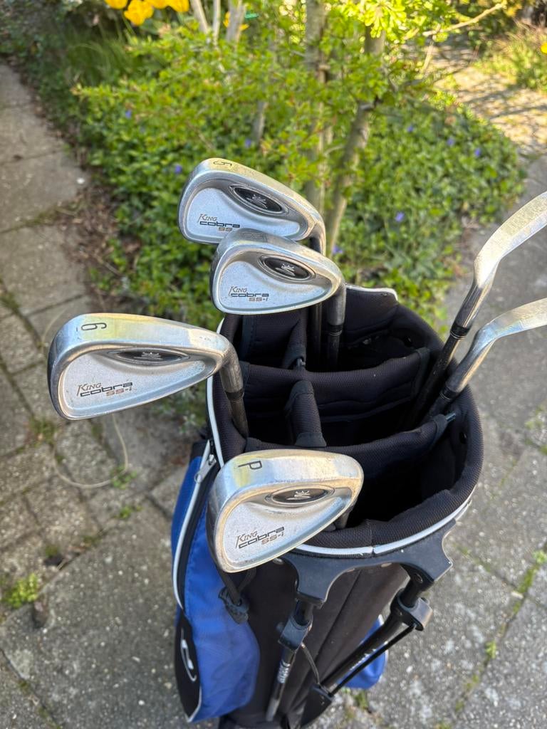 Golfbuggy e golftas met 6 ijzers, 5,6,7,8,9,P, Sport en Fitness, Golf, Ophalen of Verzenden, Gebruikt, Golfkar, Overige merken