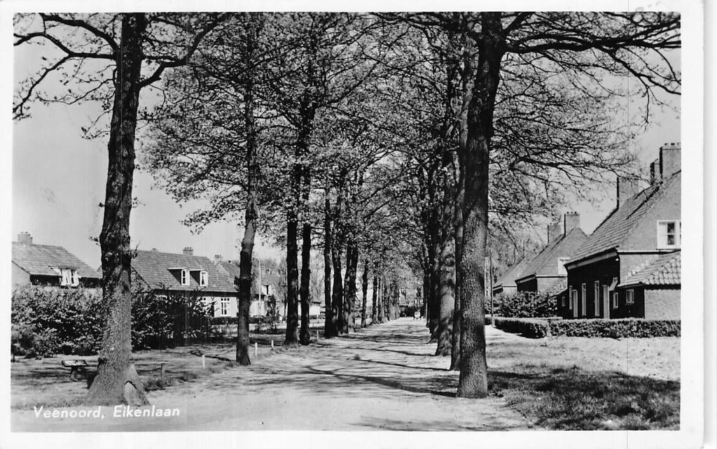478 Veenoord - Eikenlaan, Ophalen of Verzenden, 1940 tot 1960, Gelopen, Drenthe