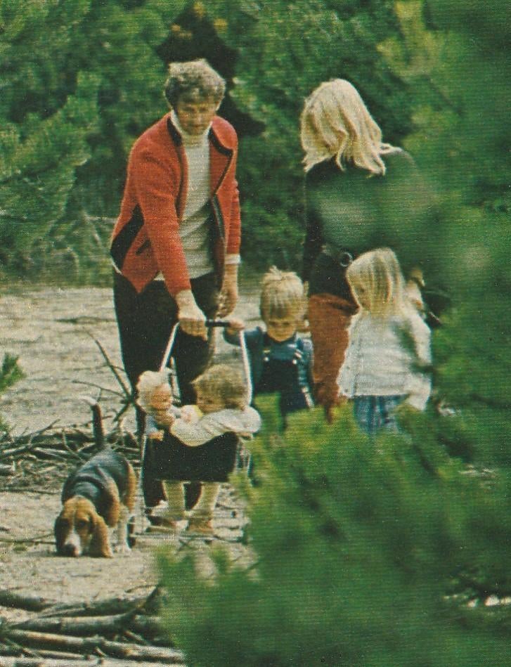 Retro reclame 1973 Roosvicee siroop kindertjes buggy bos, Verzamelen, Retro, Verzenden, Overige typen