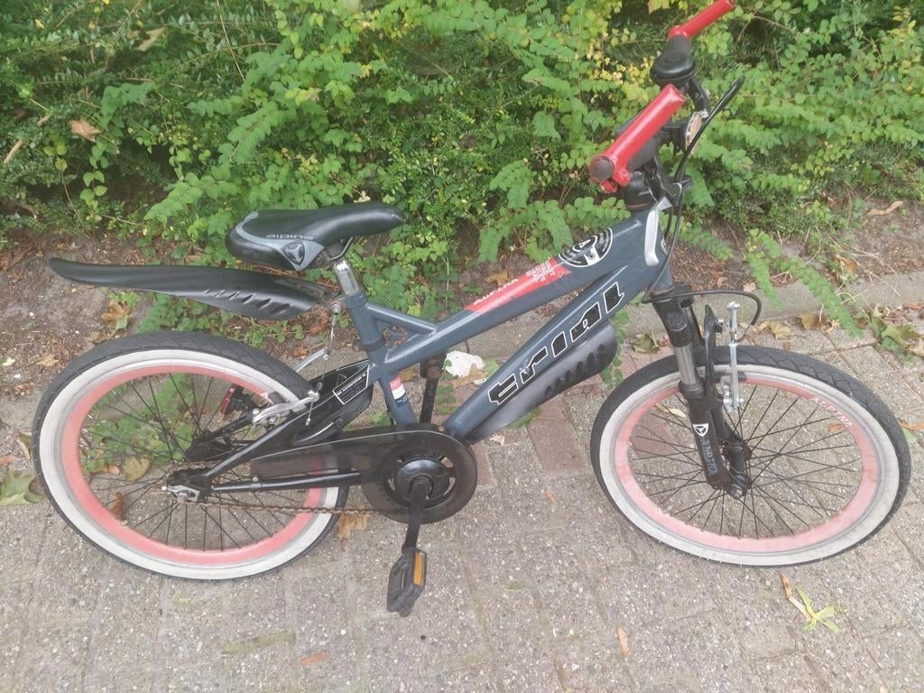 Alpina mountainbike jongens fiets te koop, Ophalen of Verzenden, Zo goed als nieuw, 20 inch of meer, Alpine