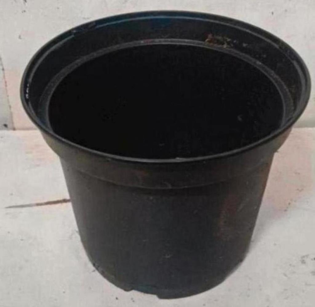 Kweekpotten plantenpotten bloempotten containers 5 liter, Tuin en Terras, Bloempotten, Gebruikt, Rond, Ophalen of Verzenden, Nvt