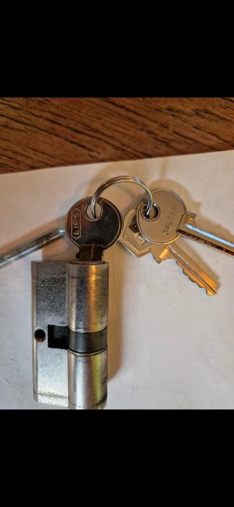 Lips cilinderslot met 3 sleutels, Ophalen of Verzenden, Gebruikt, Rvs, Slot