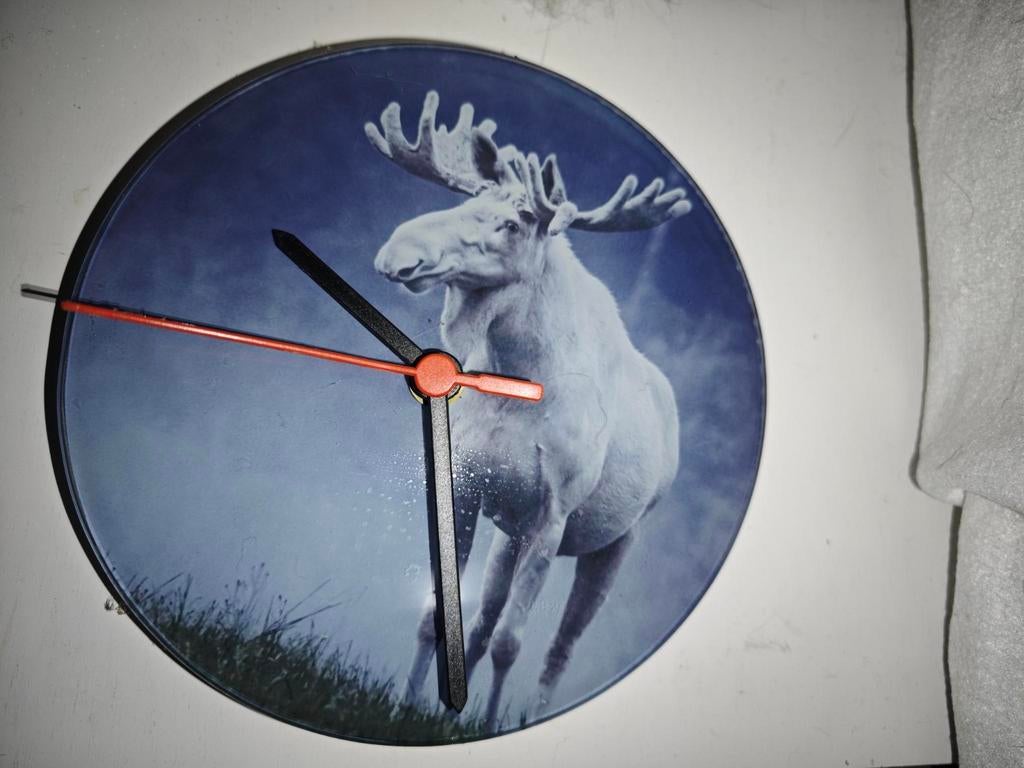Witte eland analoge klok albino zweden natuur Scandinavië, Ophalen of Verzenden, Zo goed als nieuw