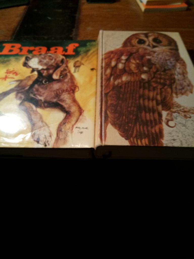 dierenboeken 3x, Ophalen of Verzenden, Zo goed als nieuw, Honden