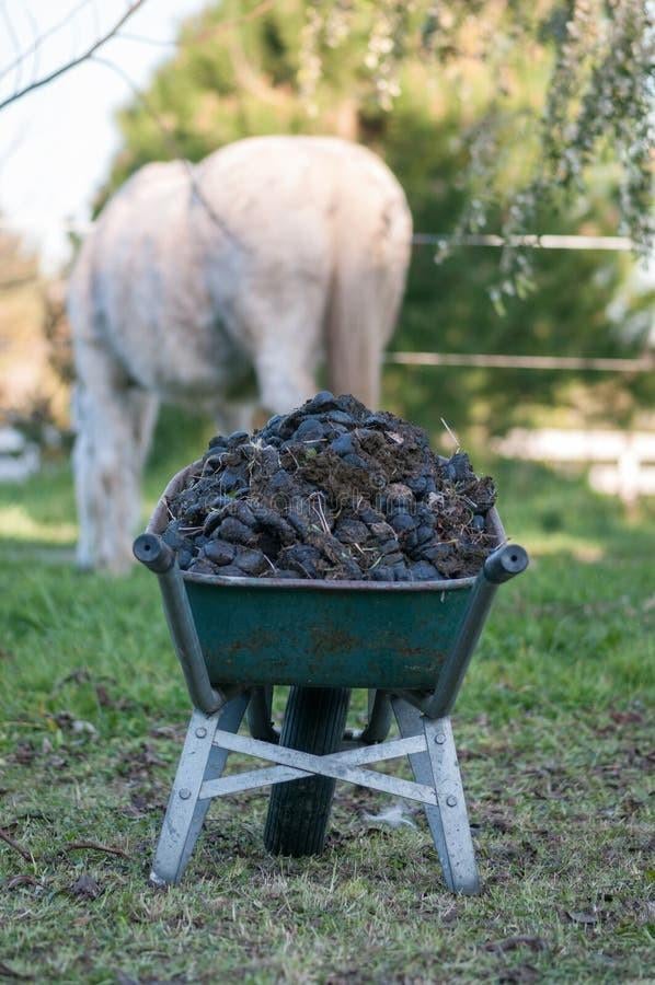 Gratis Paardenmest – Zelf Ophalen (Bereikbaar met Aanhanger), Ophalen