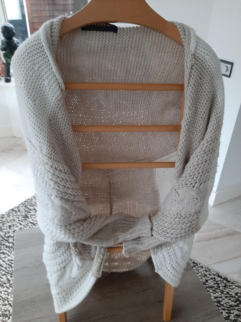 Mooi  origineel vest van Addy vd krommenacker, Kleding | Dames, Ophalen of Verzenden, Zo goed als nieuw, Maat 38/40 (M)