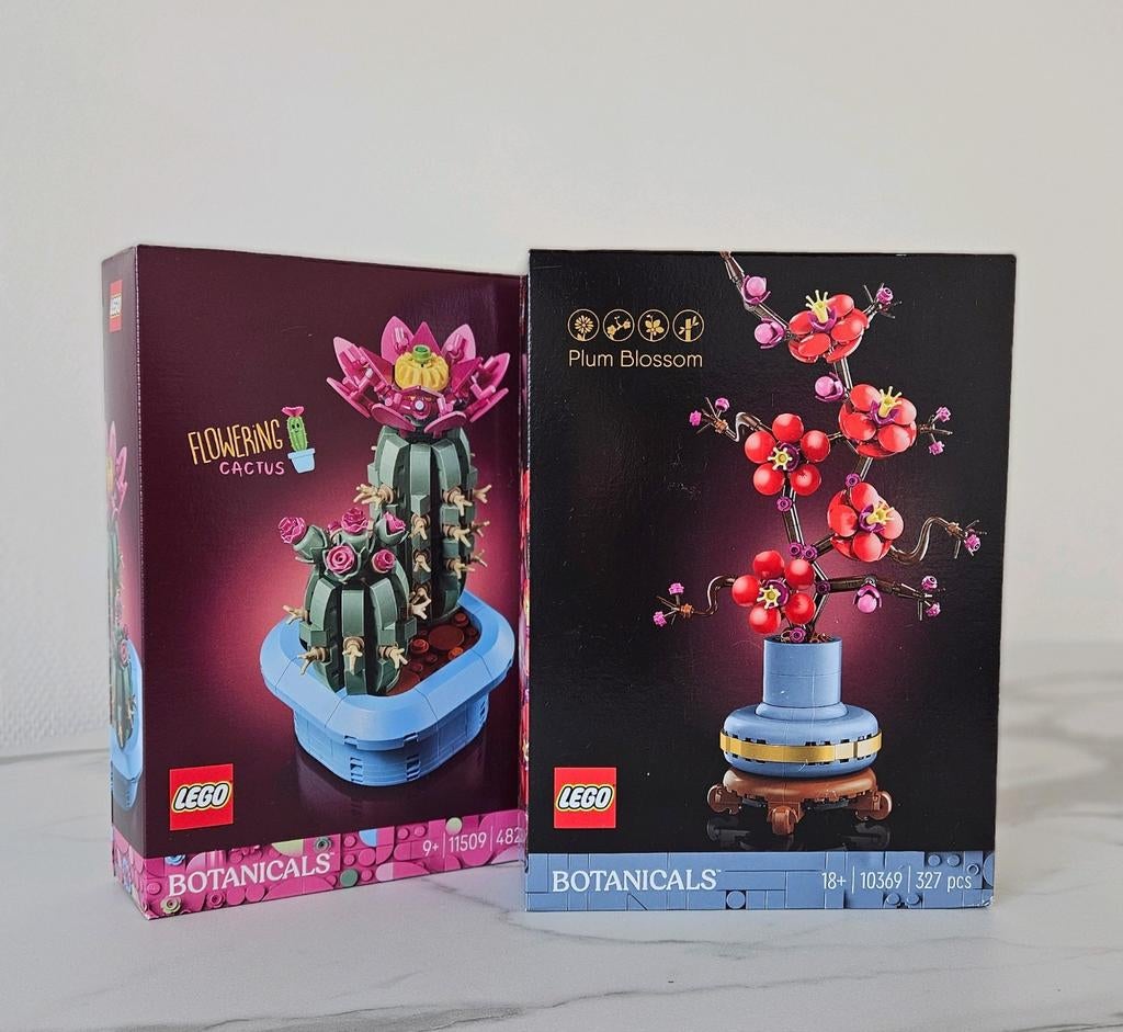 LEGO Botanicals: Cactus & Bloesem - Nieuw in Doos!, Ophalen of Verzenden, Nieuw, Overige merken