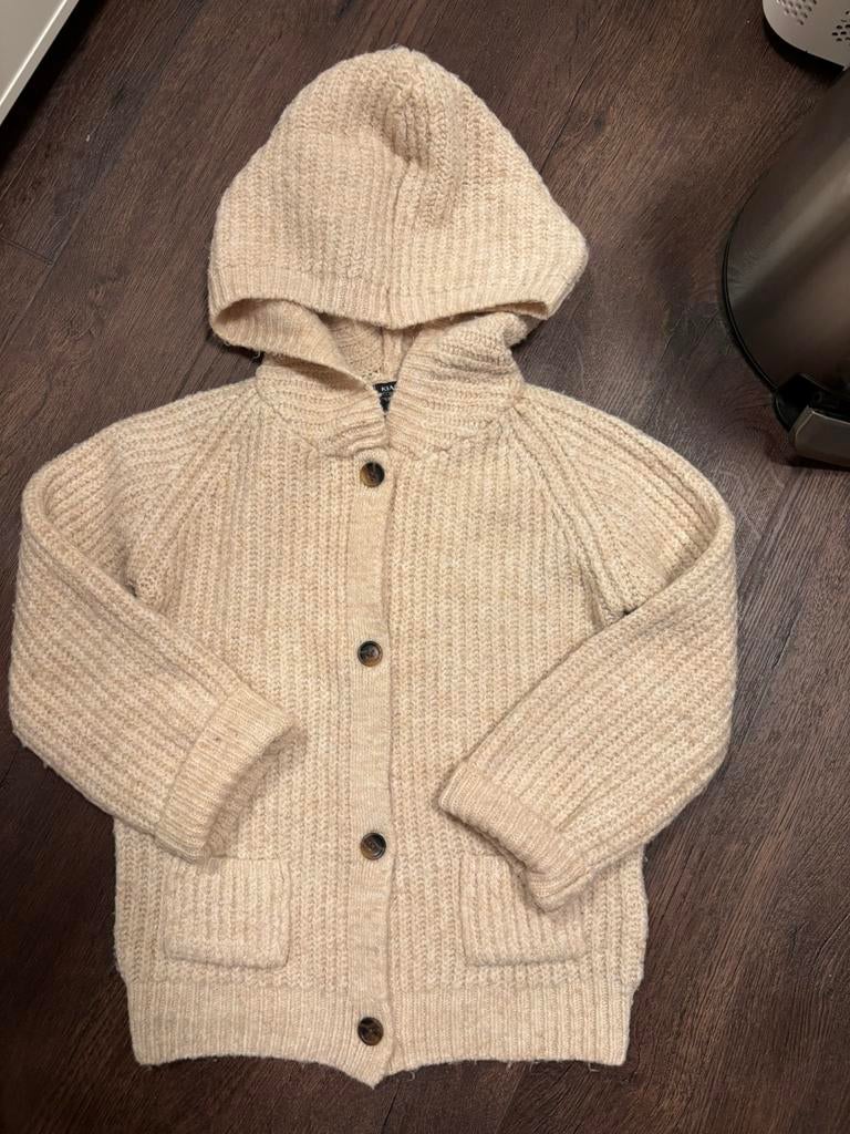 Warm vest met capuchon, 98, Kinderen en Baby's, Kinderkleding | Maat 98, Zo goed als nieuw, Jongen of Meisje, Trui of Vest, Ophalen of Verzenden