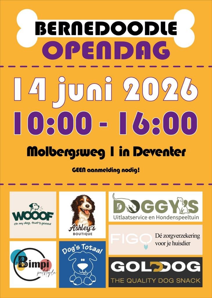 Save the date voor het grootste bernedoodle event !!!, Parvo, Nederland, Overige rassen, 8 tot 15 weken