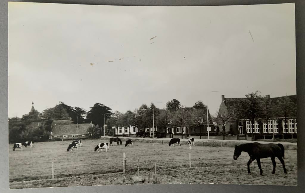 Westerlee, Dorpsgezicht, Ophalen of Verzenden, Ongelopen, Groningen