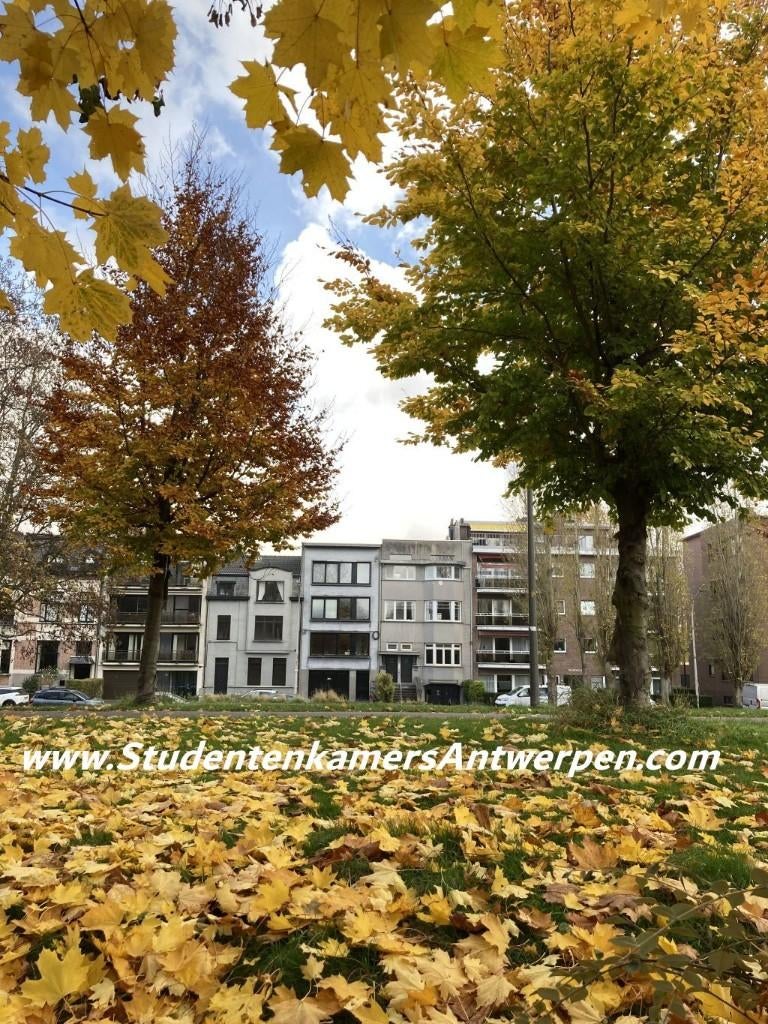 Studentenkamer te huur Antwerpen (vanaf 3 maanden), Minder dan 20 m², Overige regio's