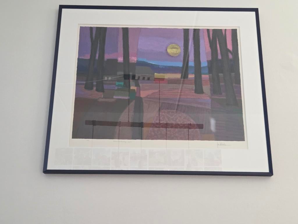 Ton Schulten Zeefdruk 'Maanlandschap' 1995, gesigneerd, Ophalen of Verzenden