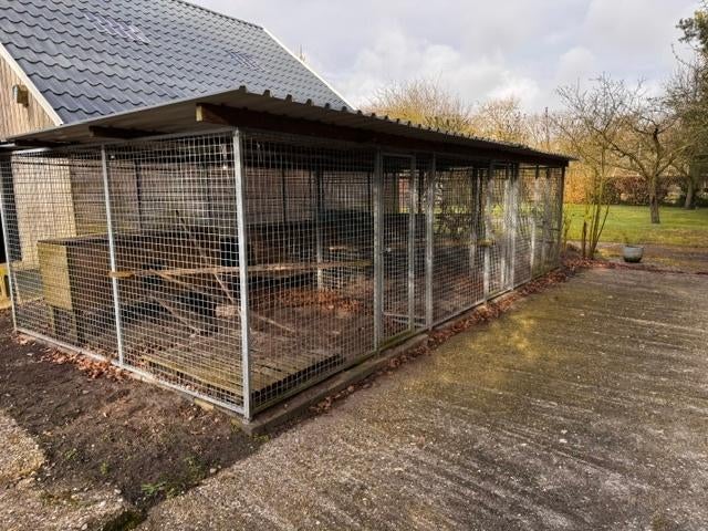 Gaaspanelen voor complete kippenren - 3 compartimenten, Ophalen, Zo goed als nieuw, Kippenhok of Kippenren