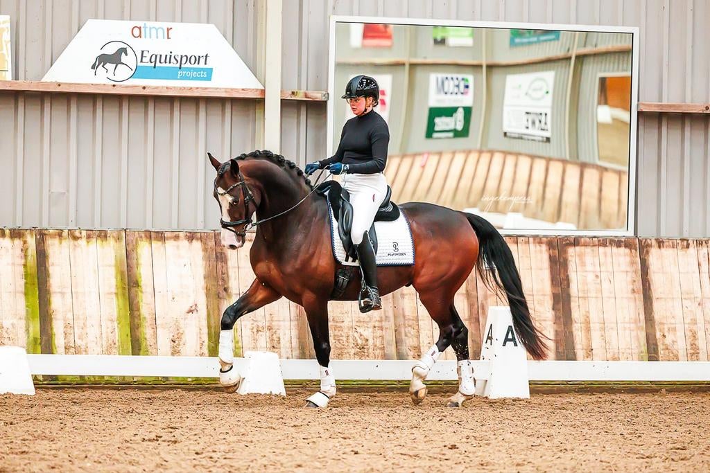Talentvolle 5-jarige dressuurruin, Met stamboom, Ruin, Dressuurpaard, 3 tot 6 jaar