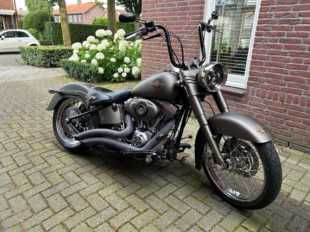 Harley Davidson FatBoy, Particulier