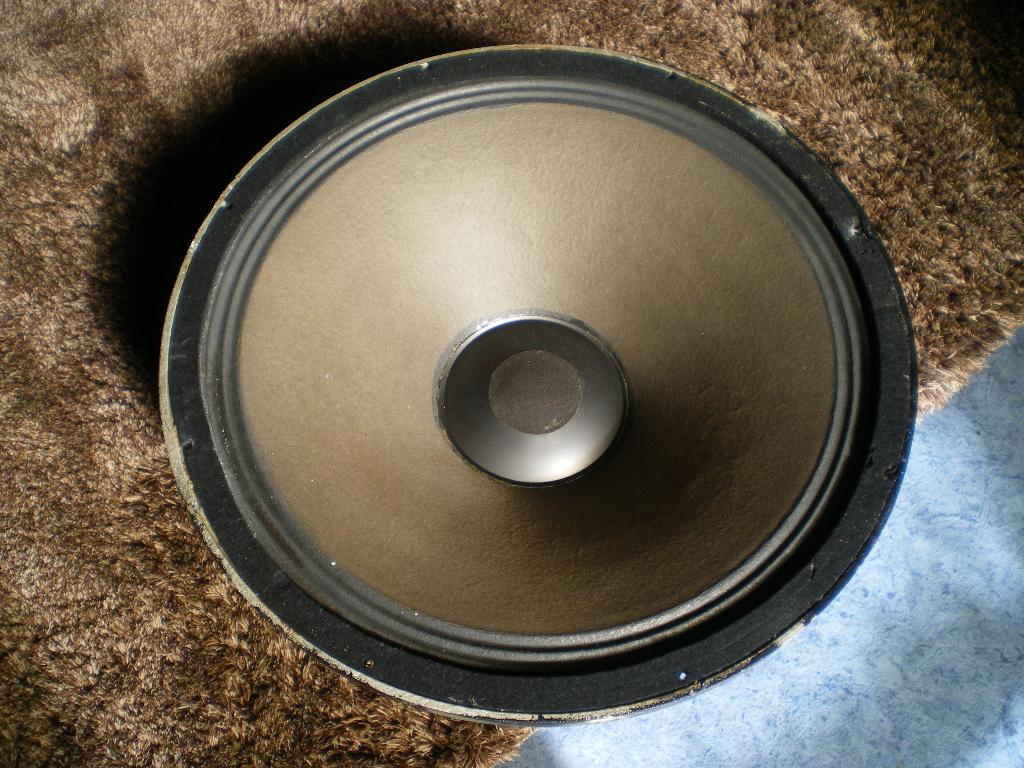 een originele celestion subwoofer 18 inch ., Audio, Tv en Foto, Luidsprekers, Overige merken, Subwoofer, Nieuw, Ophalen of Verzenden