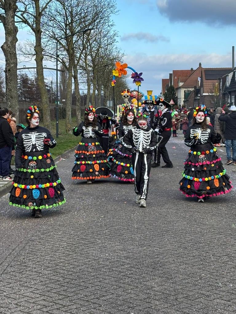 Loopgroep 11pers, Kleding | Dames, Carnavalskleding en Feestkleding, Ophalen of Verzenden, Zo goed als nieuw, Maat 46/48 (XL) of groter