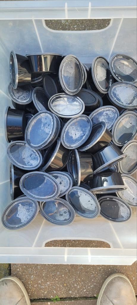 Water gel , jelly voor spinnen ,krekels, reptielen, Dieren en Toebehoren, Insecten en Spinnen