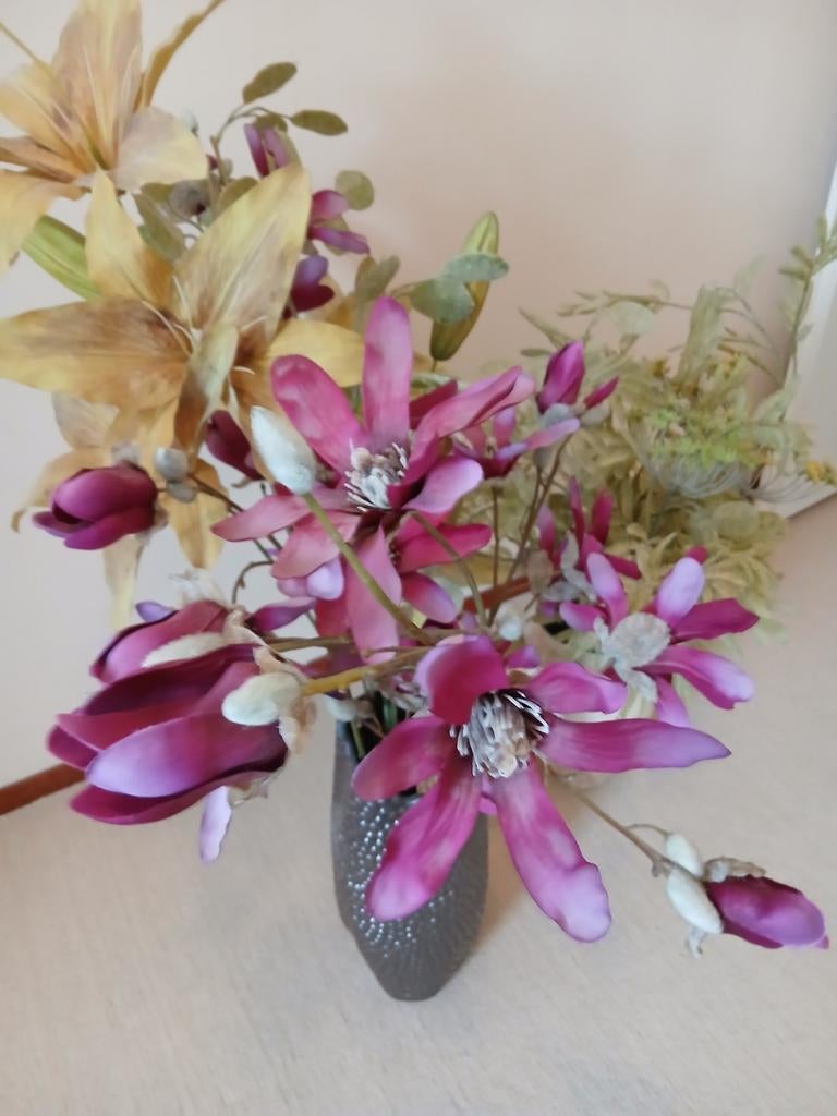 Droogbloemen, Huis en Inrichting, Kamerplanten, Ophalen, Halfschaduw, Minder dan 100 cm