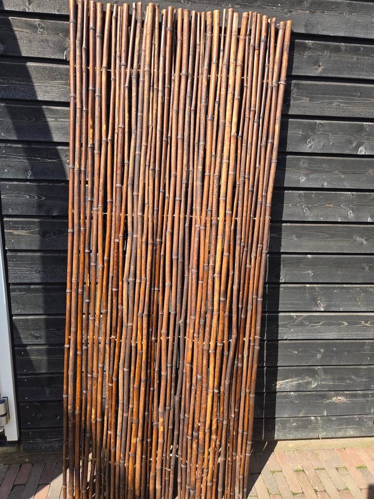 Bamboe, Ophalen of Verzenden, Hout, 150 tot 200 cm