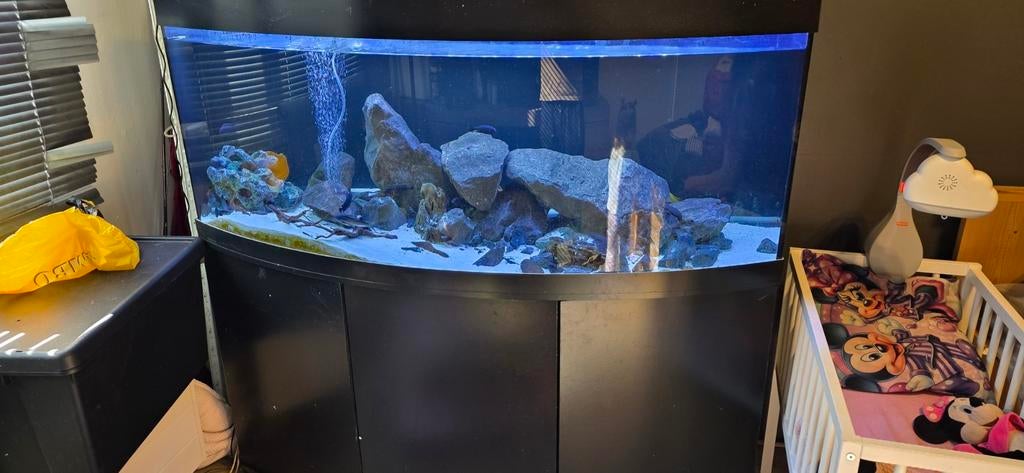 Juwel vision 450 krasvrij, Ophalen, Leeg aquarium